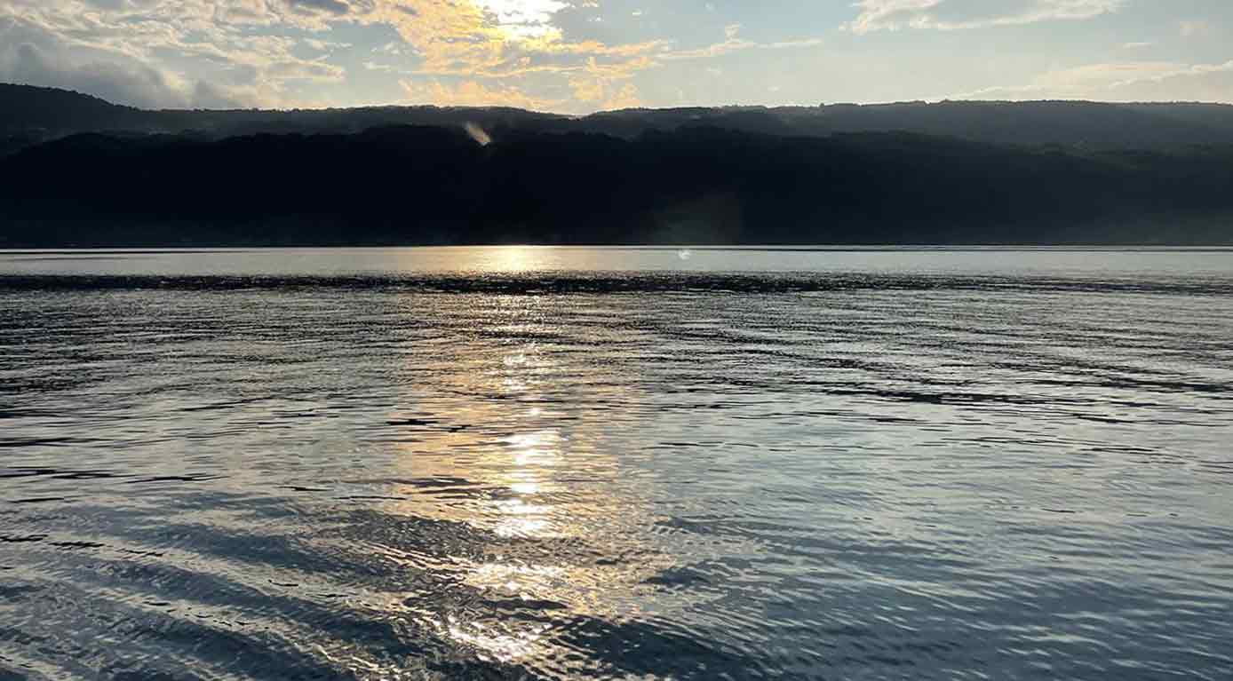 We are committed to helping you grow and optimize your E-Commerce business. So whether you're looking to launch a new store, improve an existing one, or simply need some expert advice, we're here to help. Take the first step and contact us for a 1-on-1 consultation today!